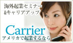 クルミナーレ：国際起業支援サイト